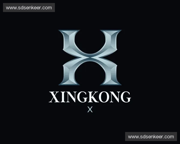 介绍xingkong官网